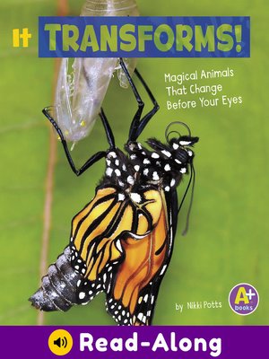 cover image of It Transforms!